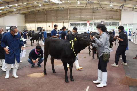 全共に出品する代表候補を審査した曽於地区１次予選会
