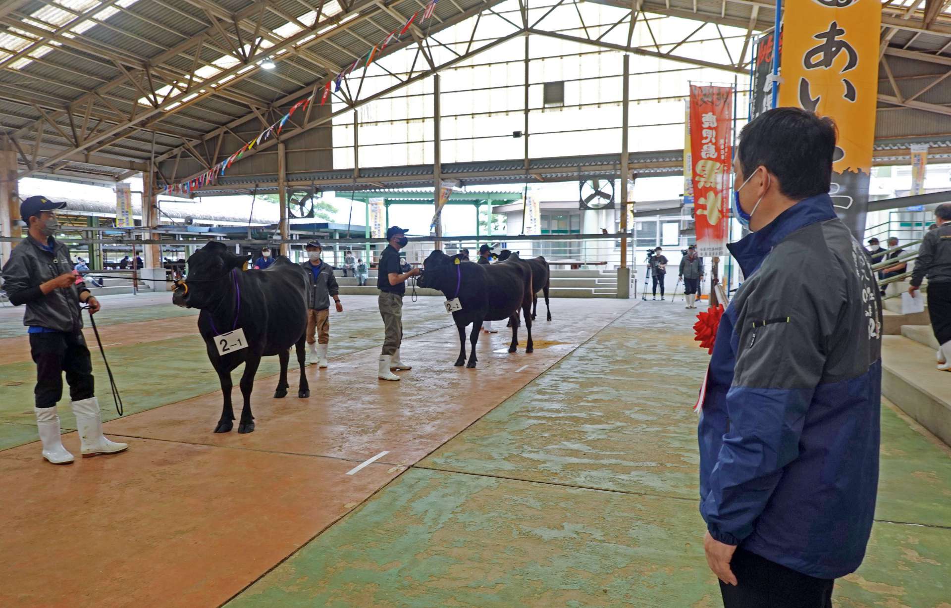 全国和牛能力共進会の１次予選を兼ねた姶良春季畜産共進会を視察する塩田康一知事＝霧島市の姶良中央家畜市場