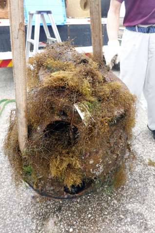 海中から引き揚げられた、藻が付着したブロック＝鹿児島市