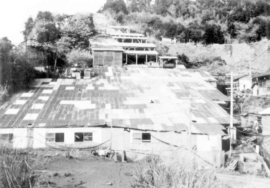 １９６５（昭和４０）年ごろの錫山鉱山。トタン屋根の作業場が広がる