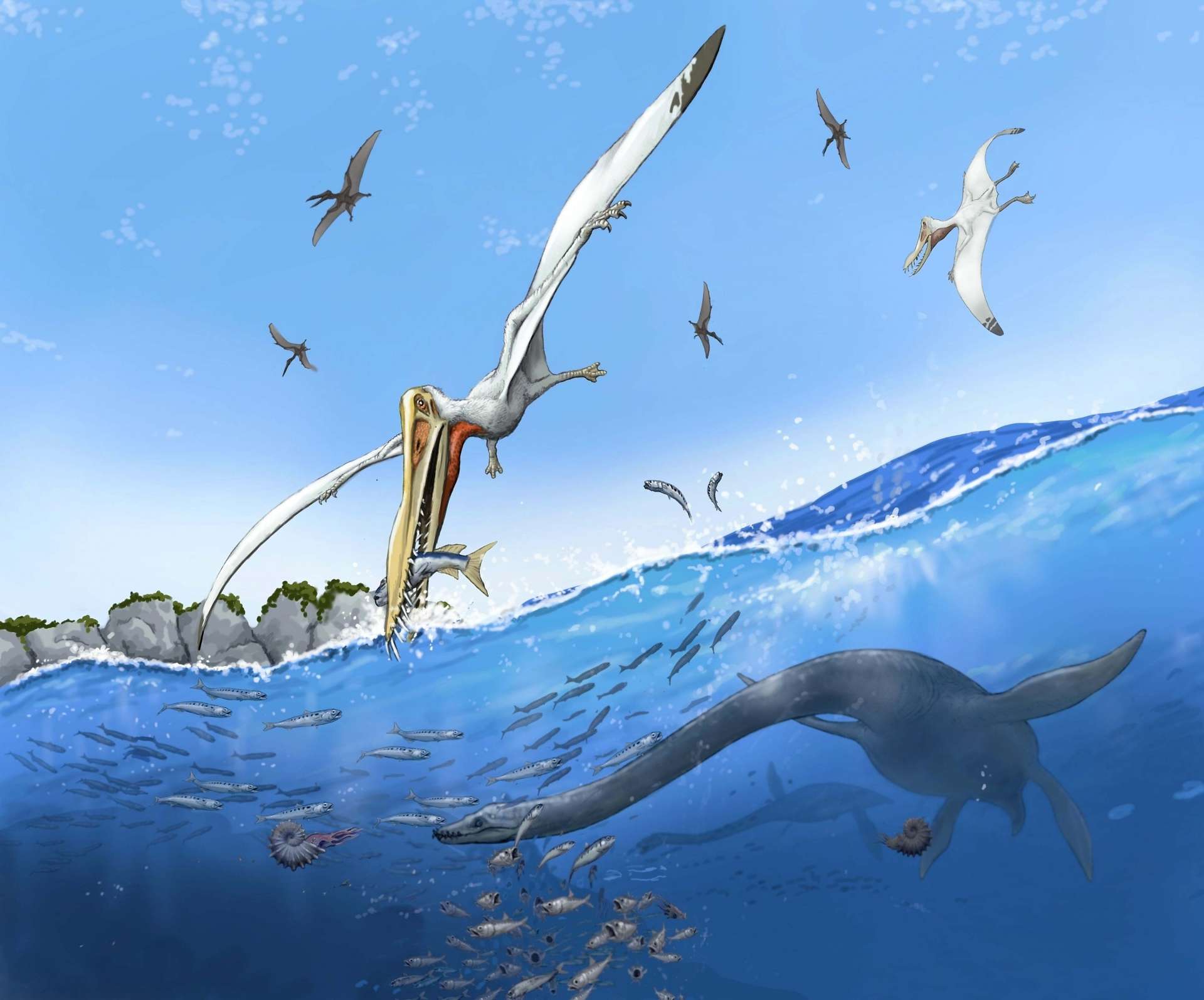 太古の獅子島の海で魚を狙う翼竜とクビナガリュウを再現したイメージ図（（ｃ）川崎悟司）