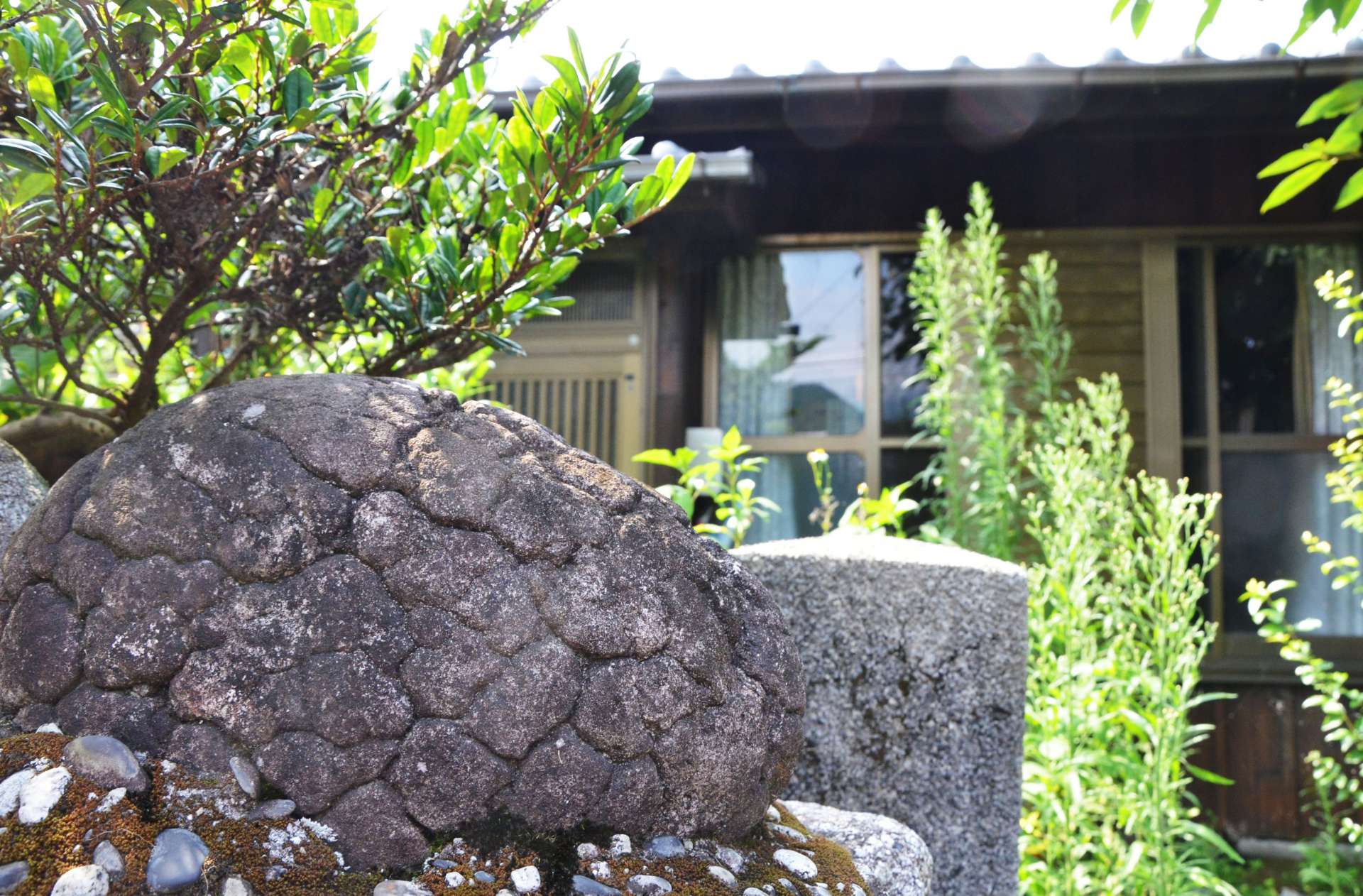 屋久島町の宮之浦集落で、民家の門柱の横に飾られる「亀石」
