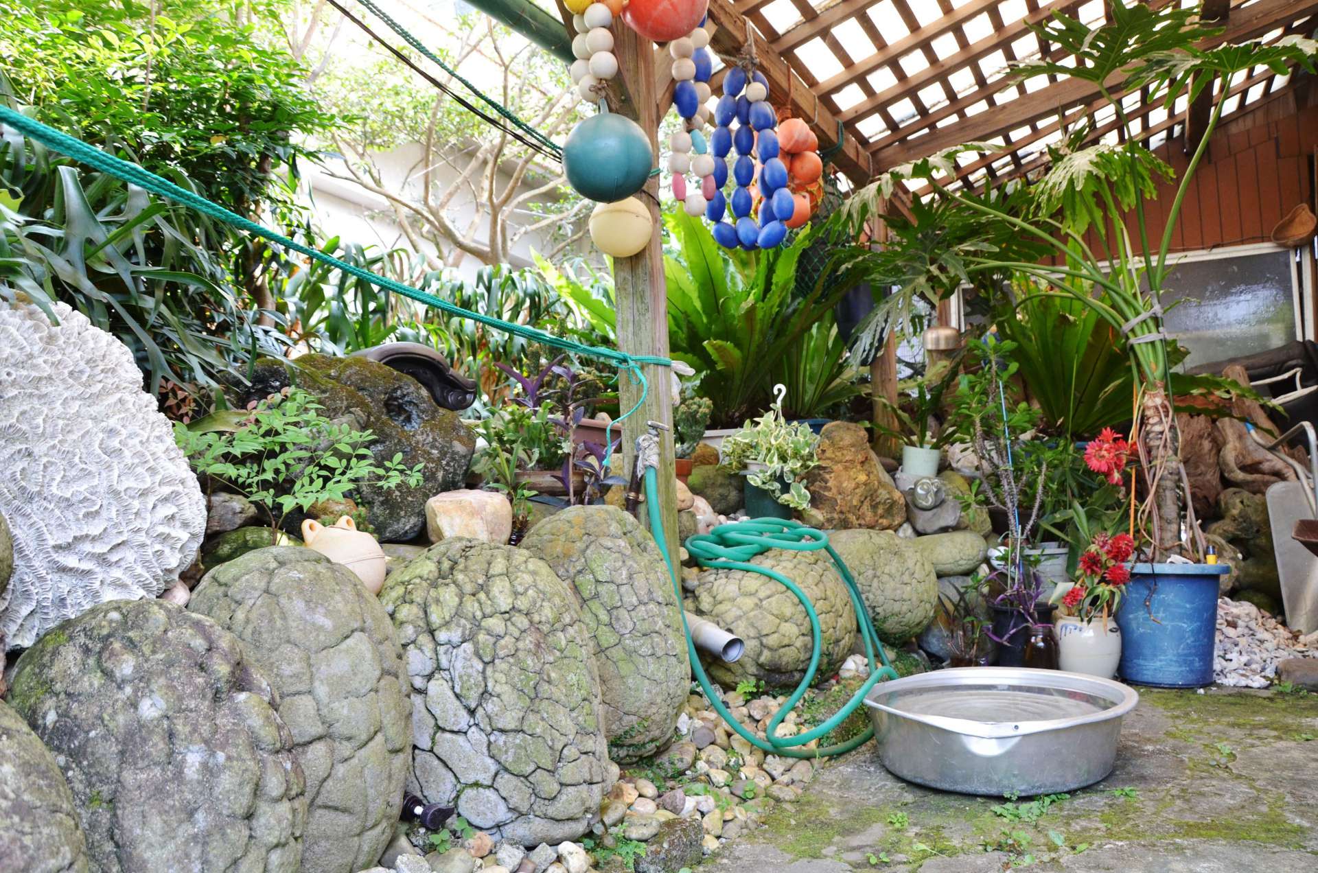 庭に飾られる「亀石」＝屋久島町の宮之浦集落