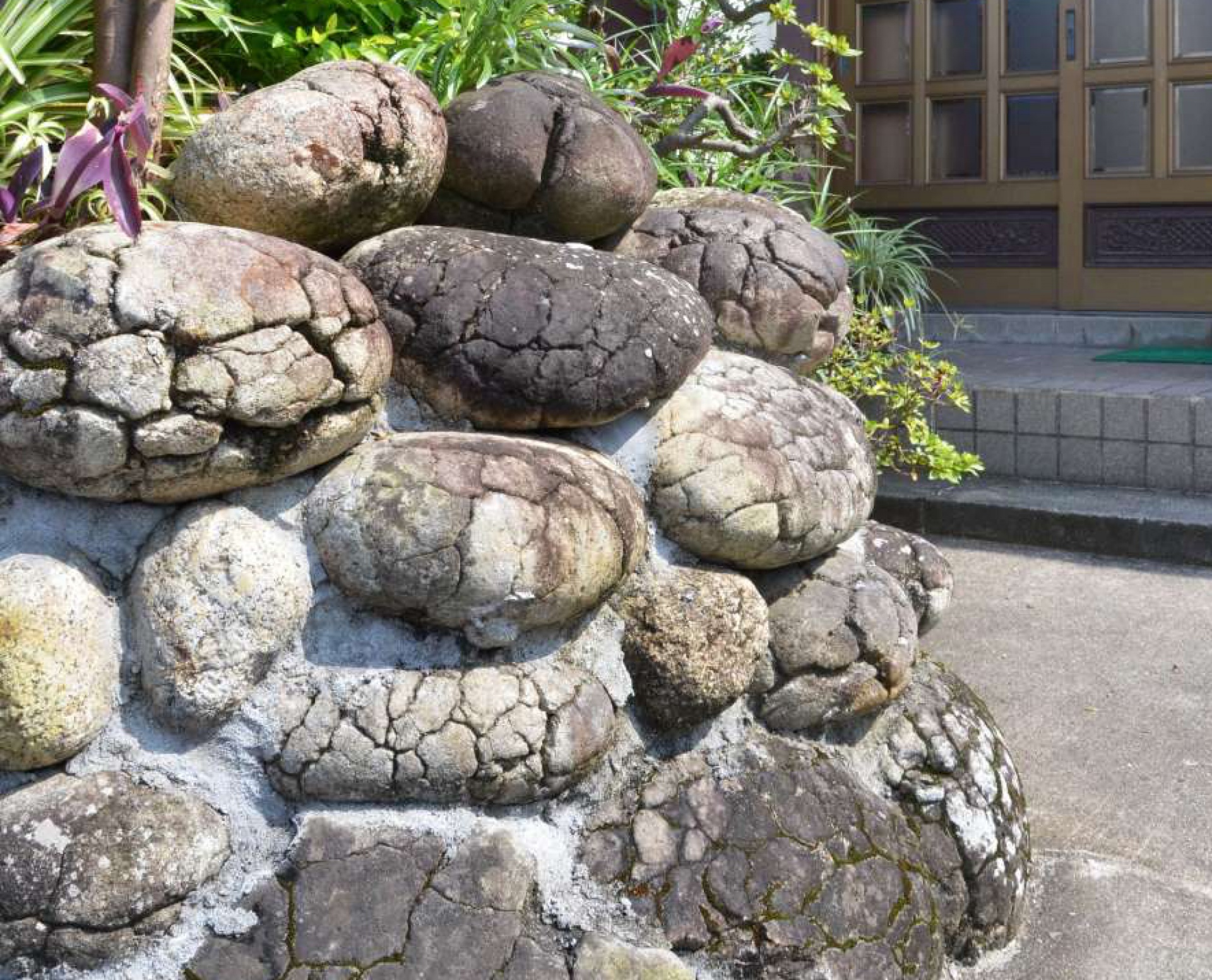 玄関先に飾られる「亀石」＝屋久島町の宮之浦集落
