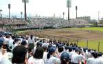 多くの観客で埋め尽くされた球場＝２４日、鹿児島市の平和リース球場