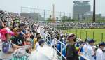 大島高校の三塁側スタンドから外野席まで観客で埋まった球場＝２４日、鹿児島市の平和リース球場