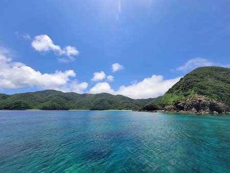 枝手久島