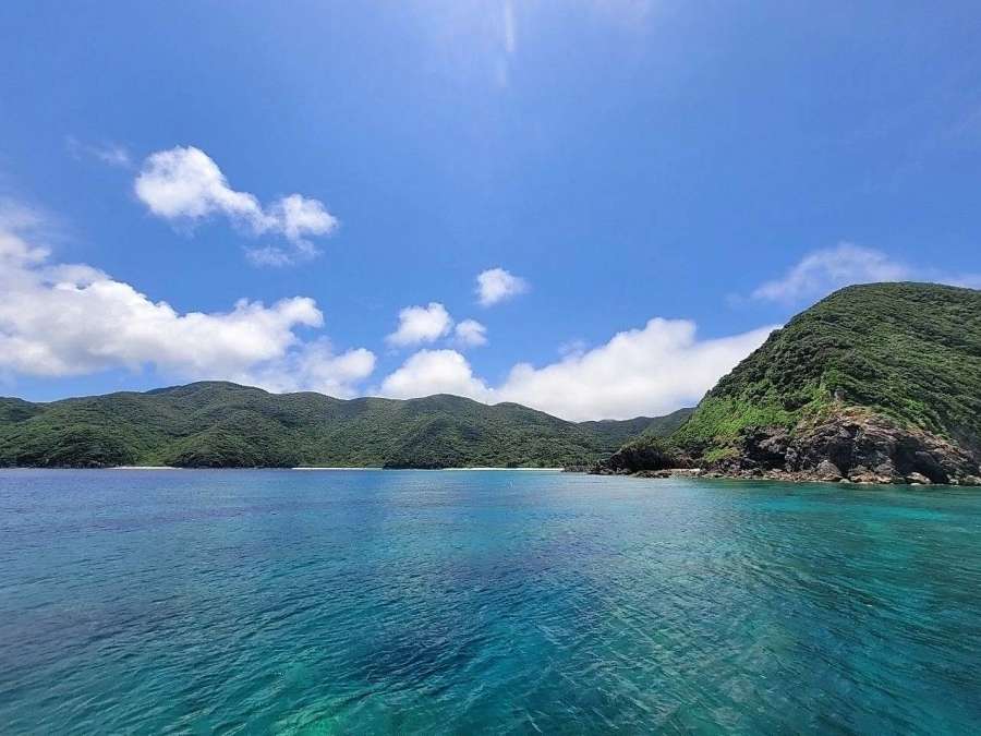 枝手久島