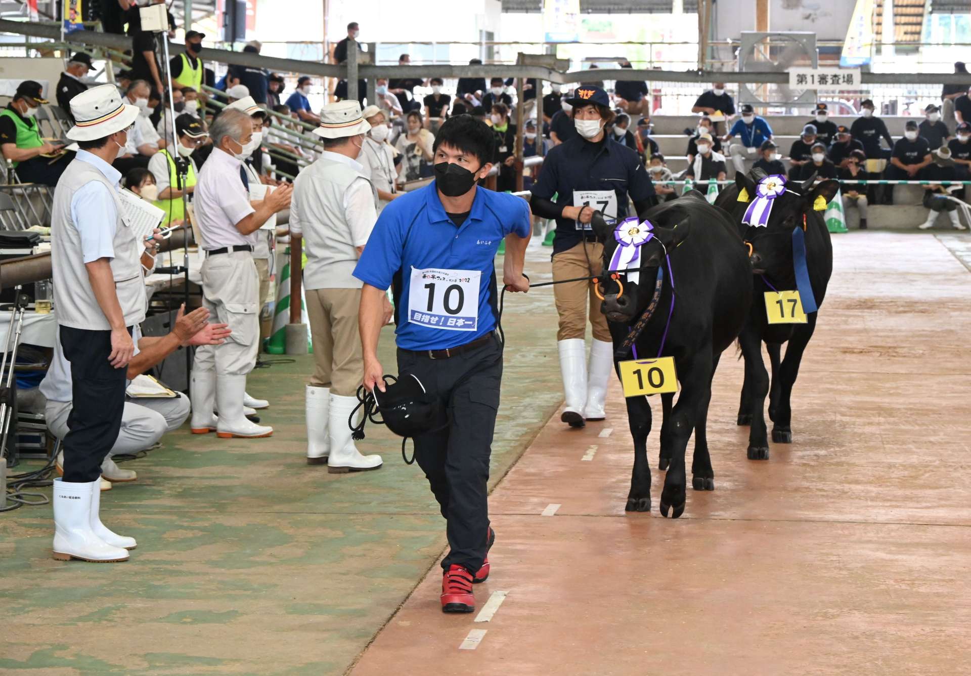 第２区の代表に選ばれ場内をパレードする２頭＝霧島市の姶良中央家畜市場