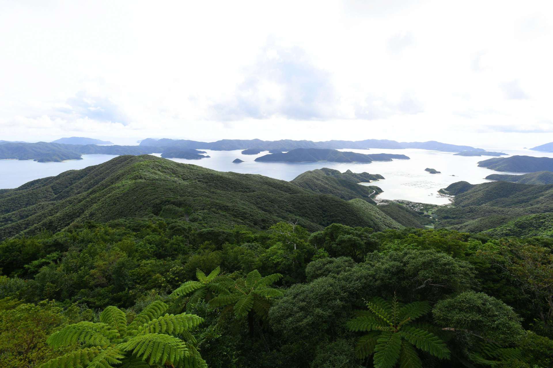 瀬戸内町の高知山展望台から望む大島海峡