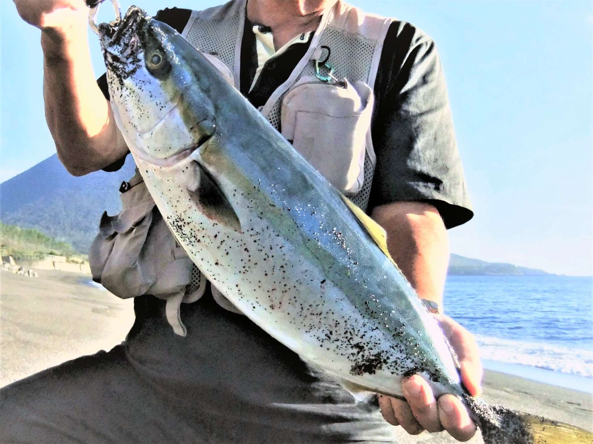 頴娃海岸で釣り上げたサーフブリ＝南九州市