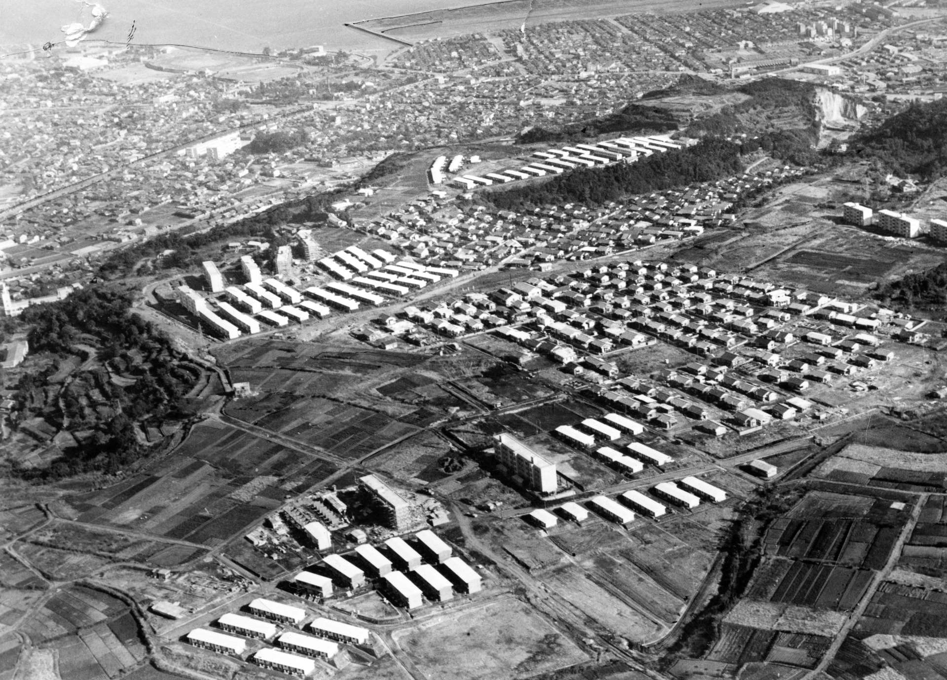 鹿児島市紫原上空から空撮した紫原団地の全景＝１９６３年