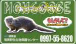 環境省が作製したマングースの情報提供を呼び掛けるマグネット