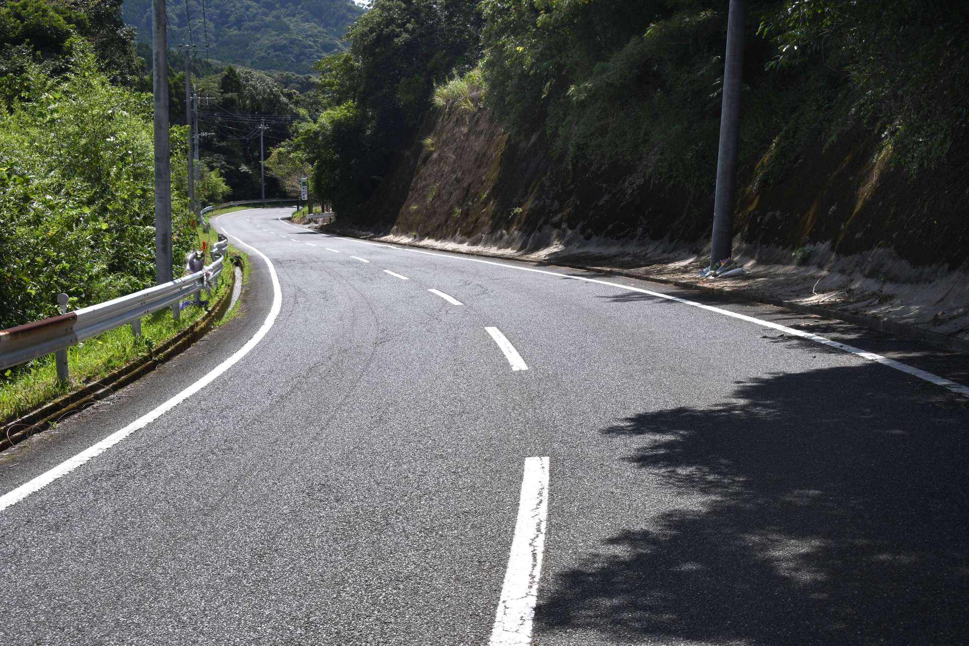 全日本インカレ男子ロードレースで事故が起きた県道＝南大隅町根占
