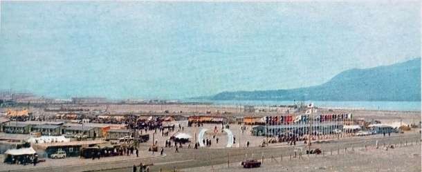 １９７０年に鹿児島市で開かれた第２回全国和牛能力共進会会場（全国和牛登録協会鹿児島県支部提供）