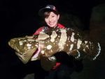 桜島で釣り上げたクエ＝９月１日