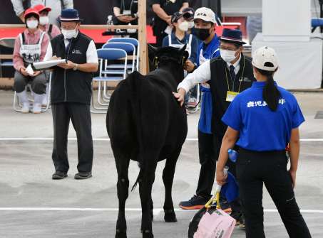 審査を受ける曽於高校の「しえな」号＝霧島市牧園