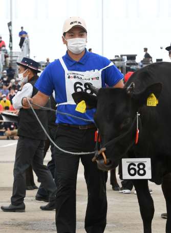 審査で出品牛の手綱を引く兄の落合裕介さん＝７日、霧島市牧園