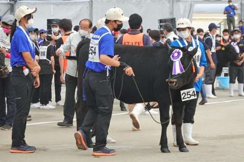 特別区で首席となった曽於高校の「しえな」＝８日、霧島市牧園