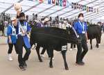 特別区で優等賞首席を獲得した曽於高校の「しえな」＝８日、霧島市牧園