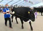 １区で優等賞首席を獲得した鹿児島県代表の「白浜喜」＝８日、霧島市牧園