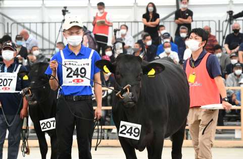 巧みな綱さばきで「かりなきよ」を落ち着かせる前田龍馬さん＝８日、霧島市牧園