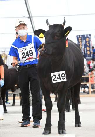 「かりなきよ」と大舞台に挑む前田龍馬さん＝８日、霧島市牧園