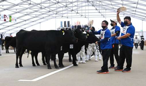 ４区で優等首席を獲得した（左から）「やすこ」「てるはな」「さき」＝９日、霧島市牧園