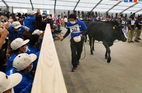 ６区で優等賞首席を獲得し、鹿児島の関係者と握手する牛の引き手＝９日、霧島市牧園