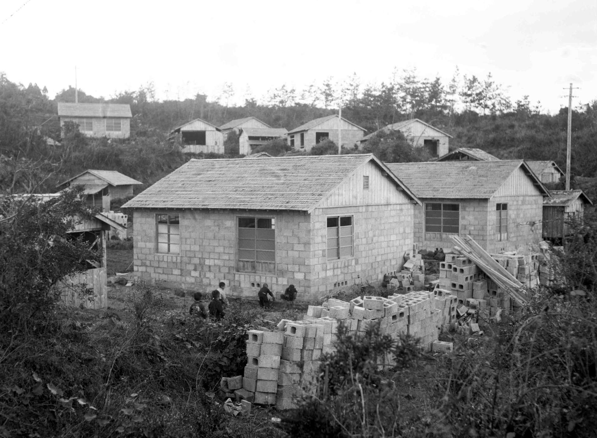 鹿児島市高免町のブロック造りの家が並ぶ桜島の園山集落全景＝１９５５（昭和３０）年１２月２９日