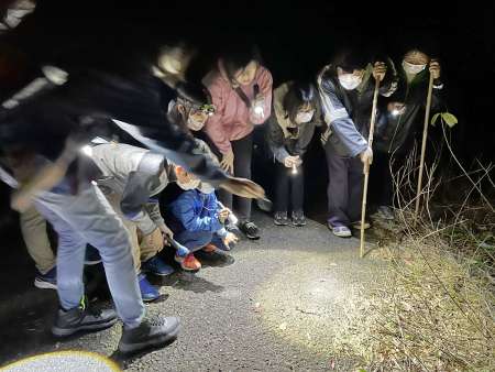道路に出てきた大きな線虫を見つけ興味深そうに観察する参加者たち＝天城町当部