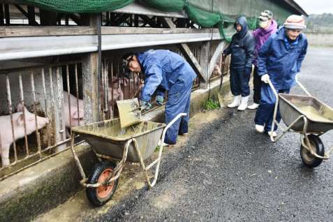 豚舎の清掃作業をする花の木農場のメンバー＝錦江町田代川原