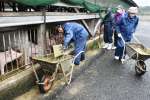 豚舎の清掃作業をする花の木農場のメンバー＝錦江町田代川原