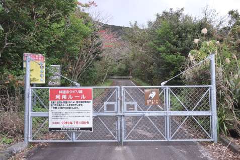 わなに掛かって死んだアマミノクロウサギが見つかった林道「山クビリ線」の入り口＝７日、徳之島町花徳