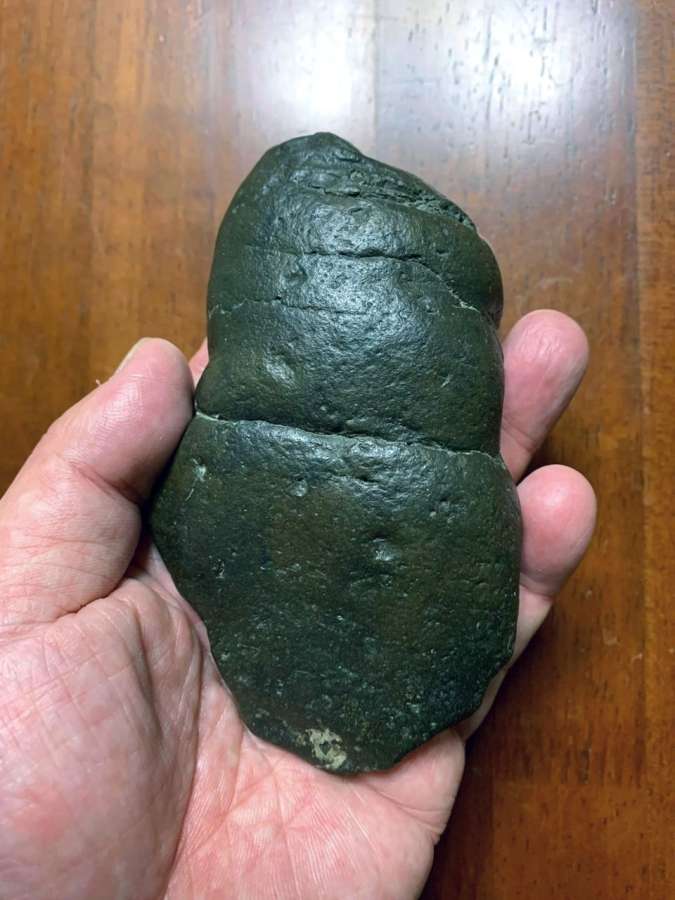 宇都宮聡さんが学生時代に手に入れた、通常より大きく、メガロドンの可能性もある新生代のサメの「ふん石」。米国フロリダ州産（宇都宮コレクション）