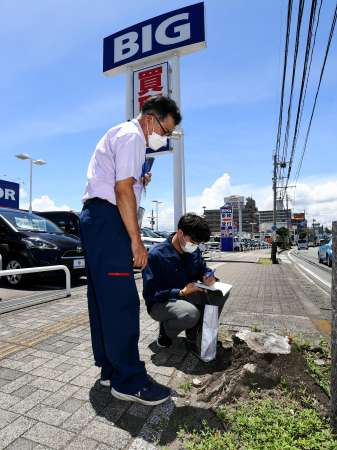 ビッグモーター鹿児島店前の街路樹や植え込みの状態を確認する県職員＝２７日、鹿児島市宇宿２丁目