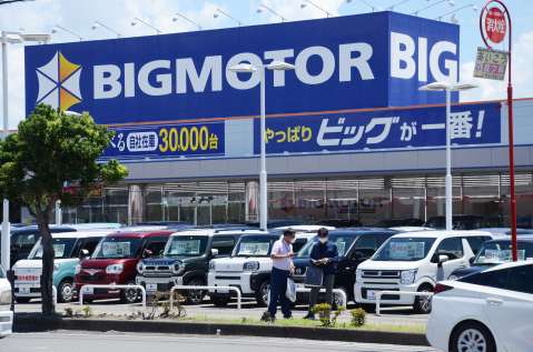 ビッグモーター鹿児島店前の街路樹や植え込みの状態を確認する県職員＝２７日、鹿児島市宇宿２丁目