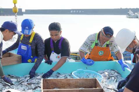 定置網で取れた魚を仕分けする漁業者＝肝付町