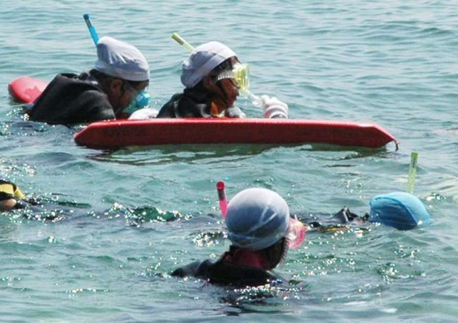 シュノーケルで海遊びを楽しむ小学生（本文と写真は関係ありません）