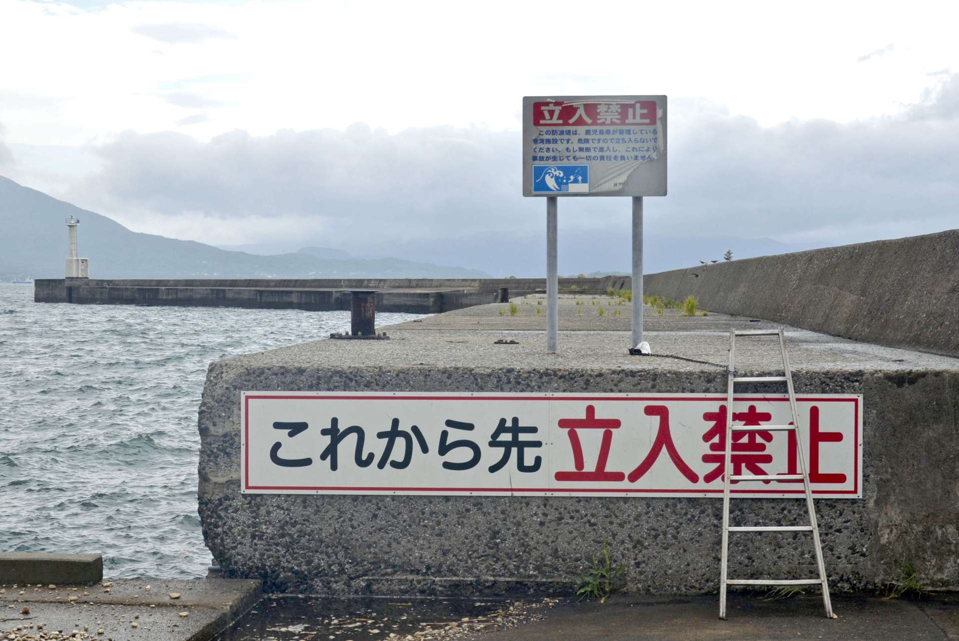 立ち入り禁止の看板がありつつも、上に上がるためのはしごがかけられている堤防＝鹿児島市鴨池新町の鴨池港フェリーターミナル