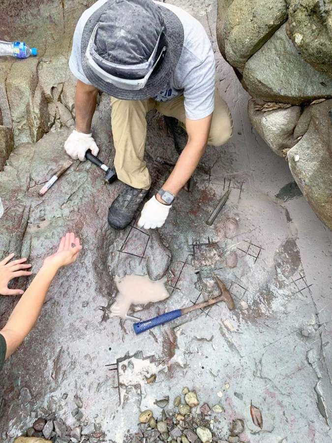 第１ボーンベッドで多数の骨化石を回収する調査メンバー＝９月１日、長島町獅子島
