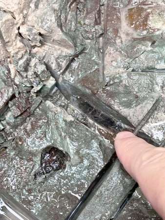 岩盤を切断したら見えた大きな骨の断面。直径１５センチほどで、恐竜のものと思われる＝９月１日、長島町獅子島
