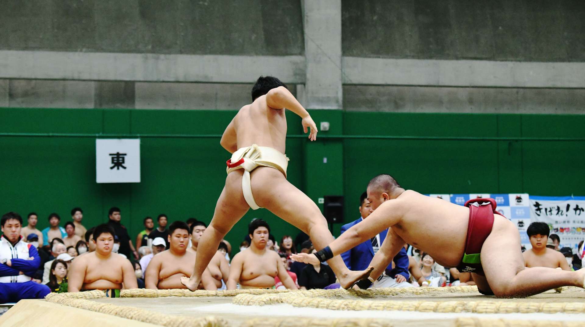 相撲関係者や選手が多く集まった国体の競技会場＝１３日、奄美市名瀬運動公園サンドーム