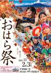 上部の風景が左右反転しているポスター（鹿児島市提供）