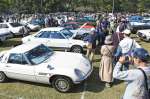 懐かしの車が並ぶ会場＝出水市の野田運動場