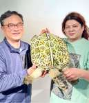 サツマムカシウミガメのフィギュアを製作した海洋堂造形師の古田悟郎さん（右）と。絶滅した同時代のカメを参考に推定復元した