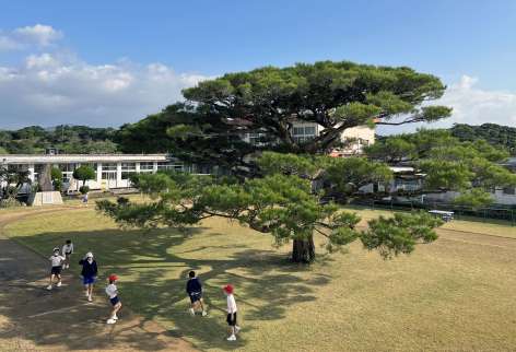 バネバネの木のまわりで遊ぶ児童＝伊仙町の馬根小学校
