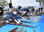 幼竹の皮をむく参加者＝湧水町北方の町農畜産物開発加工センター