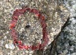 第２ボーンベッドから発見されたワニの歯と思われる化石（赤丸部分）（宇都宮聡さん提供）