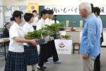 安納いもの生産者らにバイオ苗を手渡す種子島高校生物生産科の生徒たち＝１０日、西之表市の同校